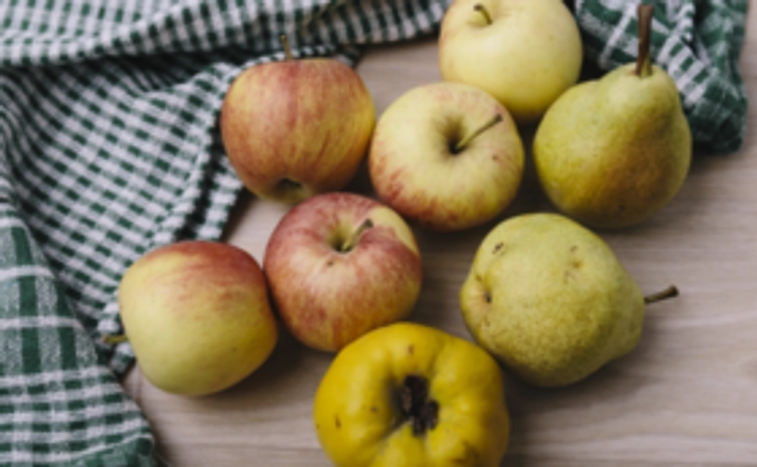 "山形プライド"旬の果物詰合せ