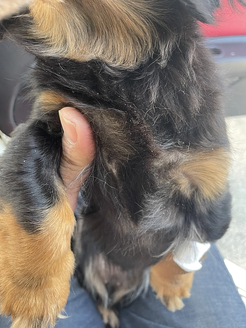 5月11日　病院の日