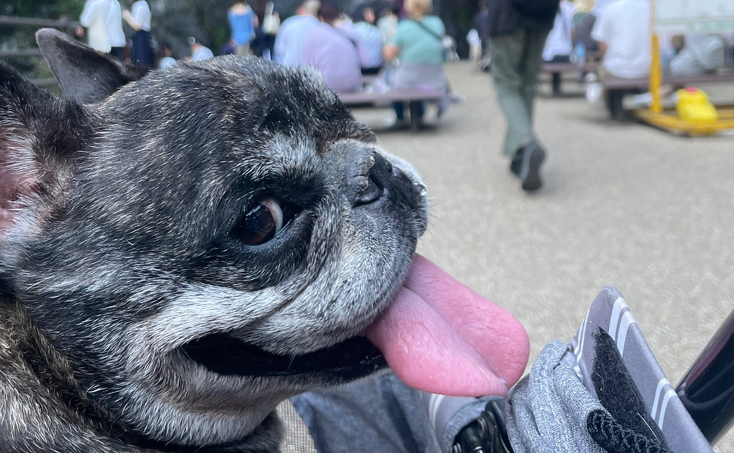 びあくんから感謝のメール