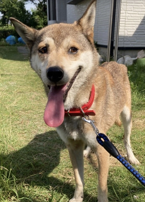 第一目標、クリアしました！