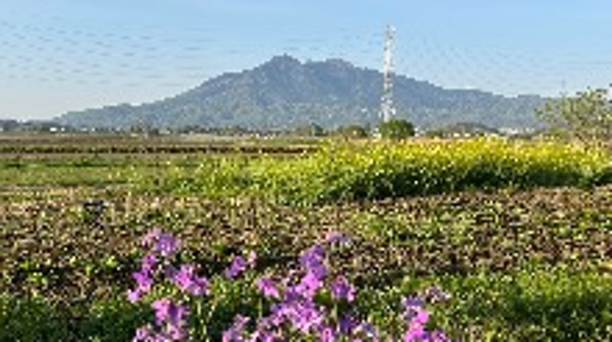 2025年種まき開始