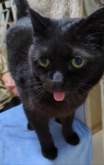 プロジェクトが達成できて驚いた！！