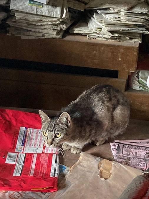 あと１日、らすとすぱ〜とで〜す！