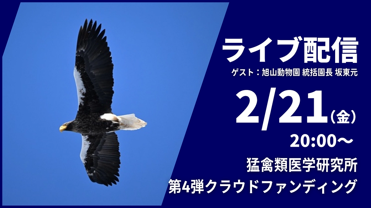 【2/21(金)20時からもゲストをお招きしてのライブ配信！】ぜひご参加いただけたら嬉しいです