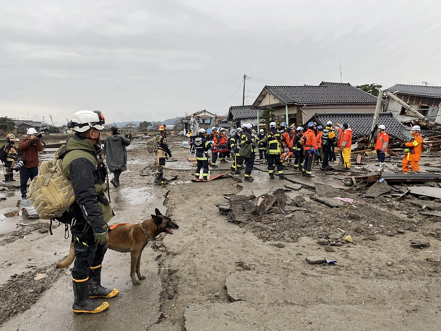 「令和6年能登半島地震」HDS K9 活動報告②