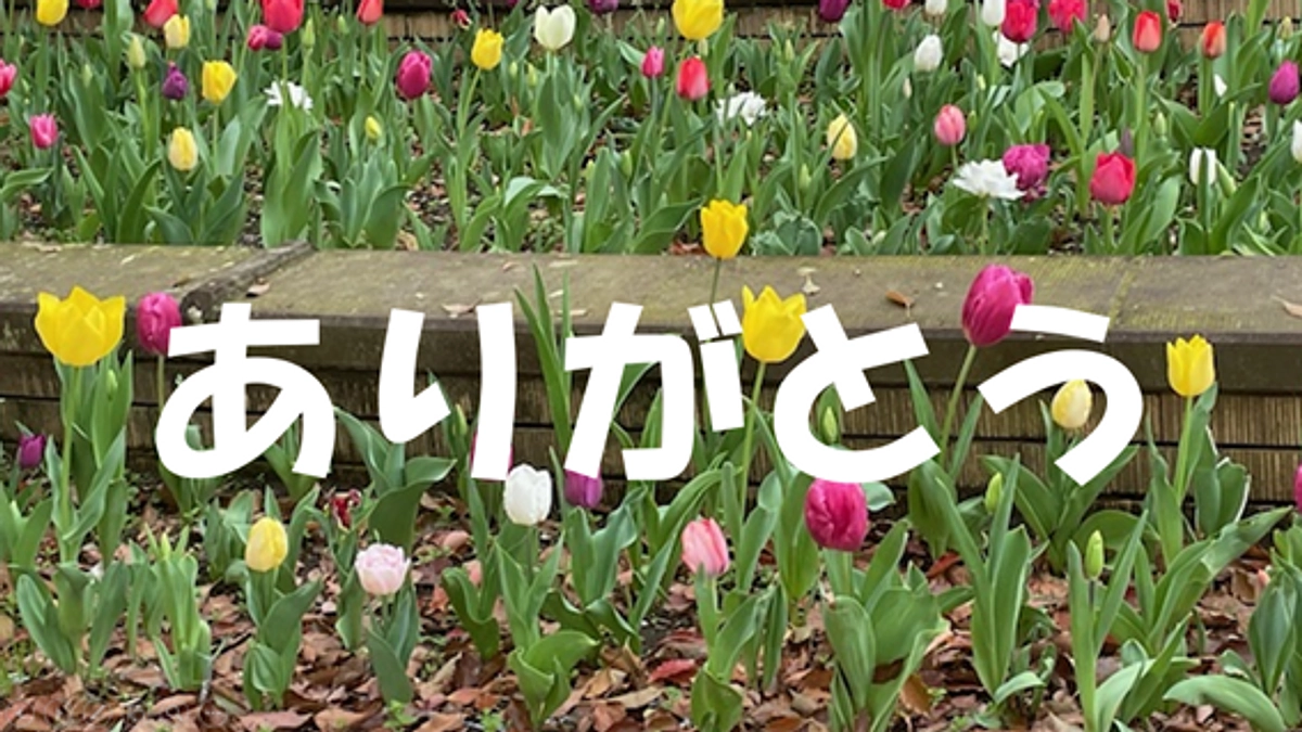 本当にありがとうございました！