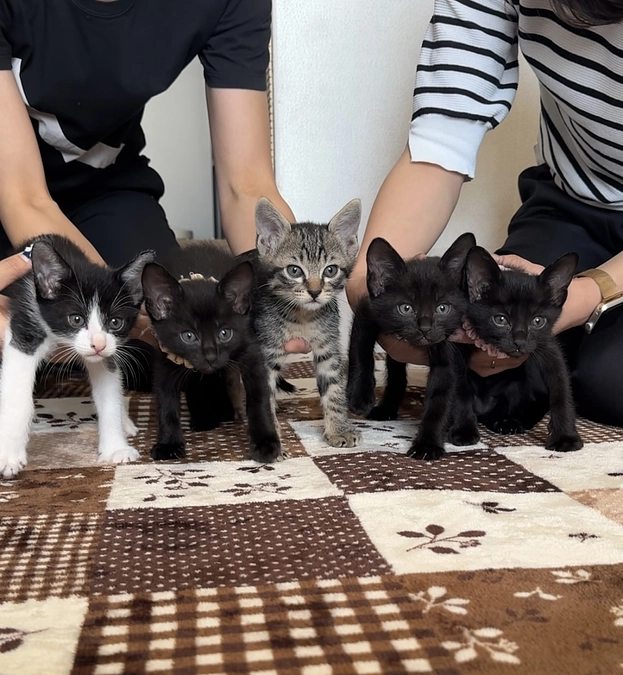 ご支援者様へ。心からの感謝を込めて