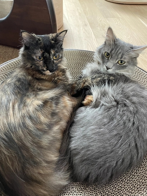 無事目標金額達成しました‼️