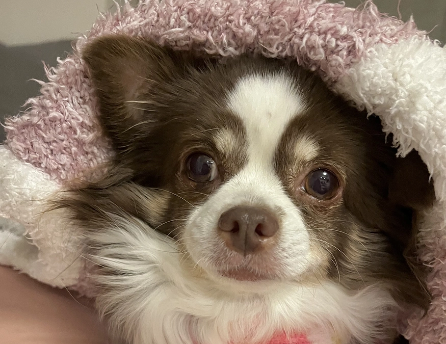 2023.12.25 術後三週間目。