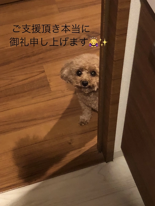 ありがとうございました🙇‍♀️✨