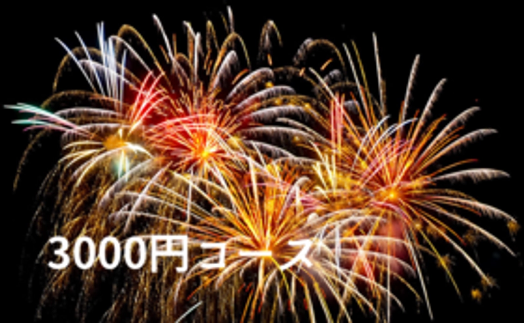 3000円コース