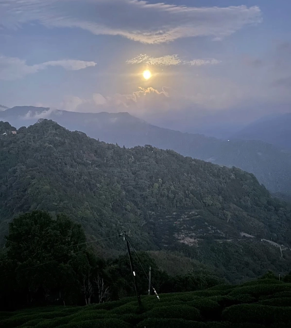 御礼申し上げます