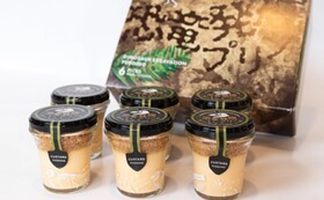 恐竜発掘プリン６個入り×1セット(送料込み)