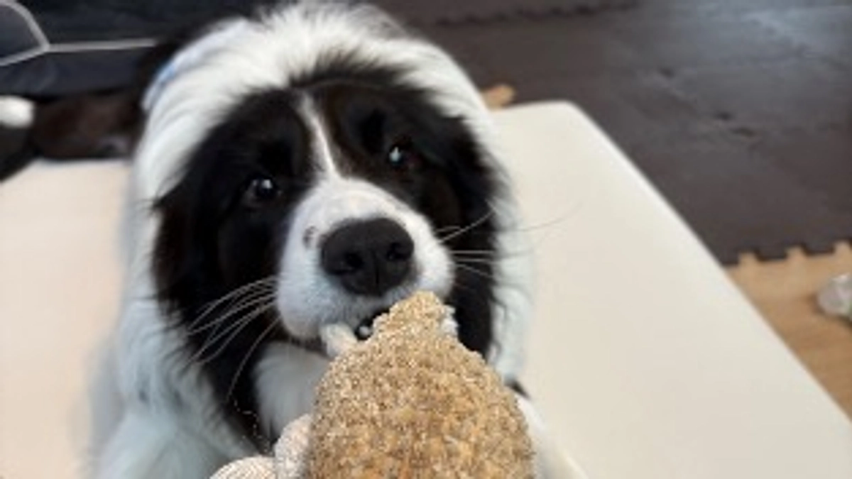 終了まで残り5日