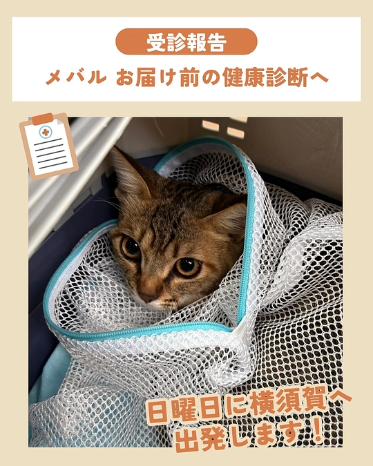 🍀いよいよ、トライアルへ出発です。