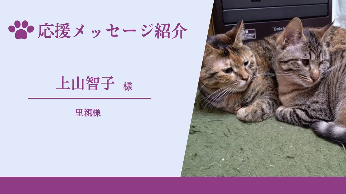 【残り9日！】応援メッセージのご紹介（里親様　上山智子様）