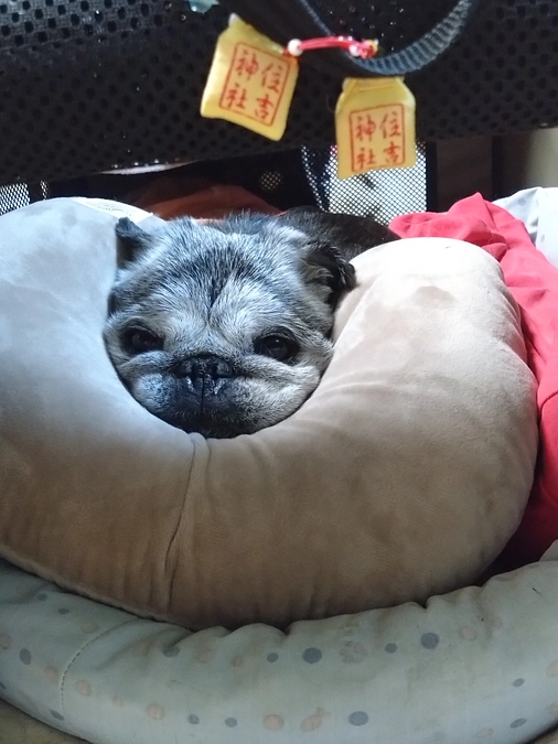 6月2日放射線治療1回目