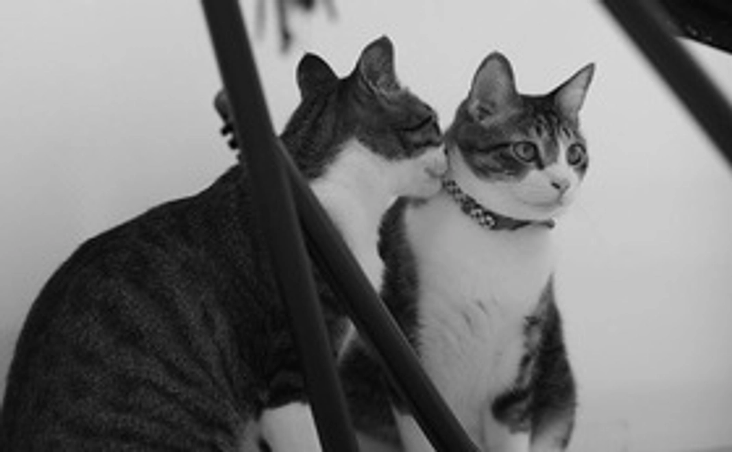 リターン有り　オリジナルポストカード3枚