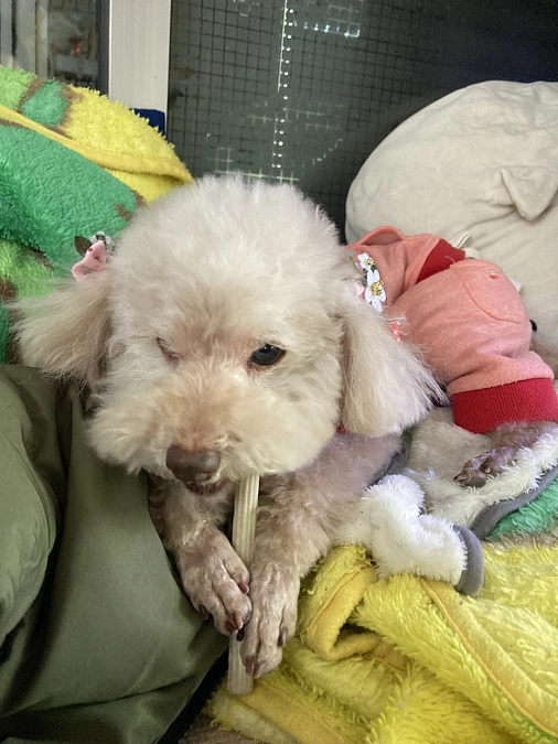 定期検診に行ってきました！