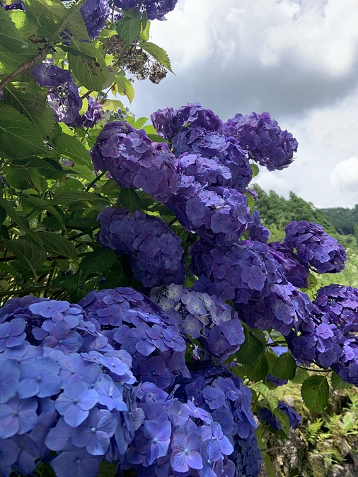 残すところ2週間となりました