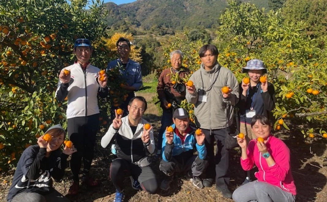 【みかん畑に来て応援】みかん収穫体験