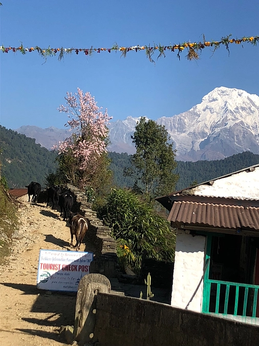 セカンドゴールに向けて挑戦