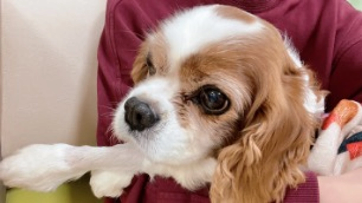 かかりつけの病院で検査を受けてきました✊