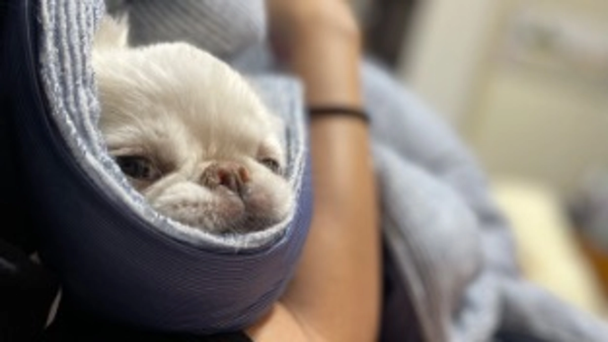 残り28日✊🏼‼️