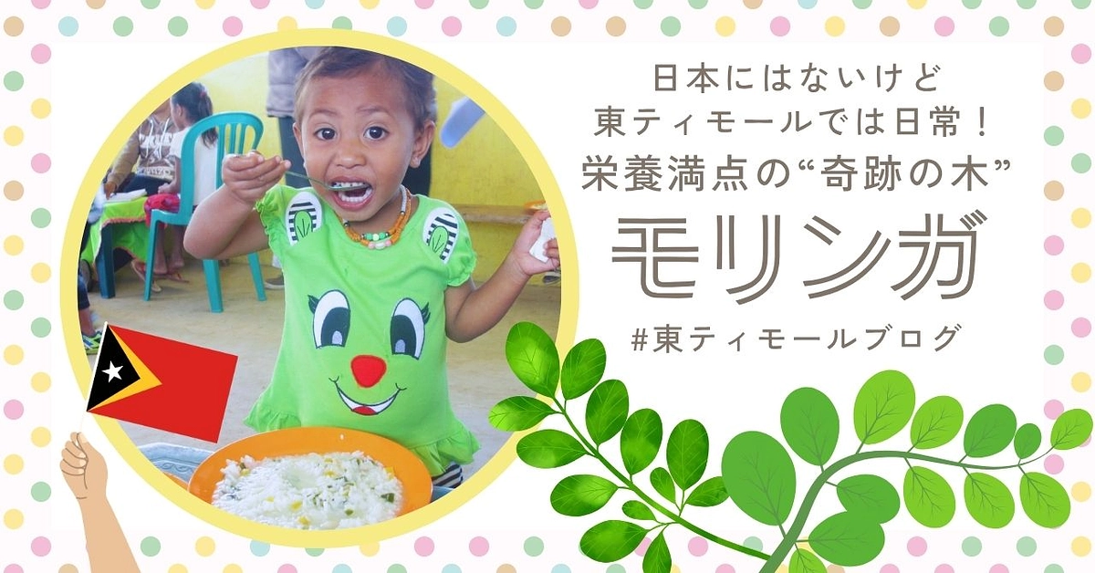 【シェア東ティモール通信14】日本にはないけど東ティモールでは日常！ 栄養満点の“奇跡の木”モリンガ