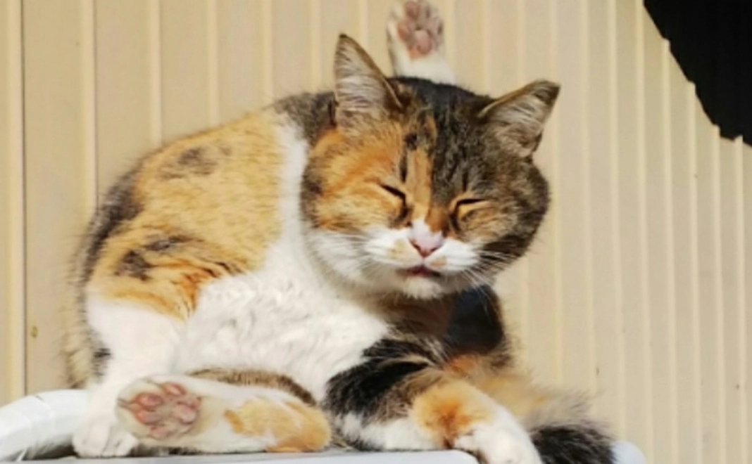 感謝のメール3000