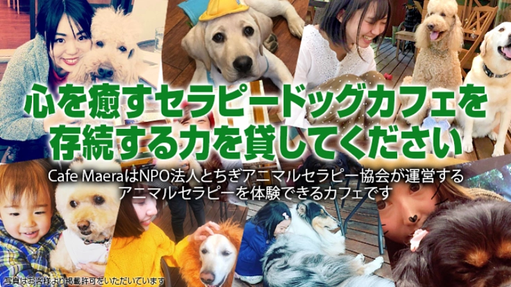 心を癒すセラピードッグカフェを存続する力を貸してください