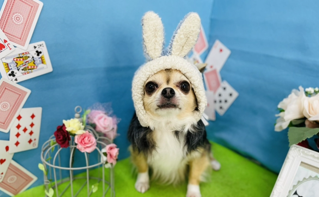 感謝のメール&活動報告　￥3000