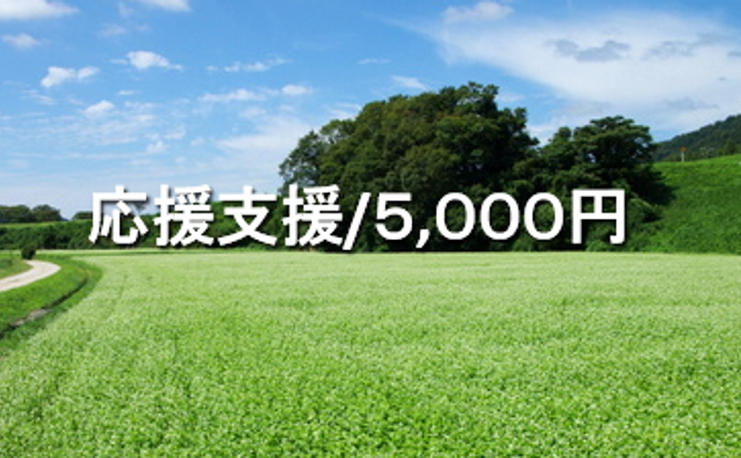 応援支援/5,000円