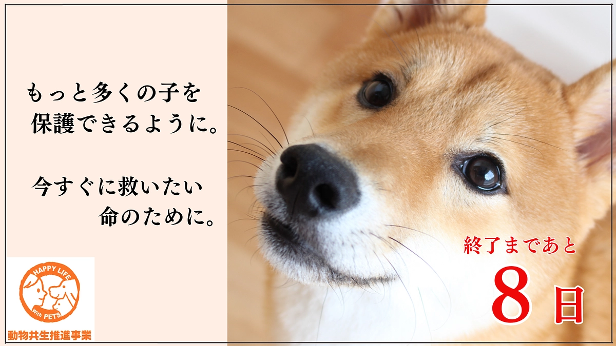 あと8日！リターンのご紹介