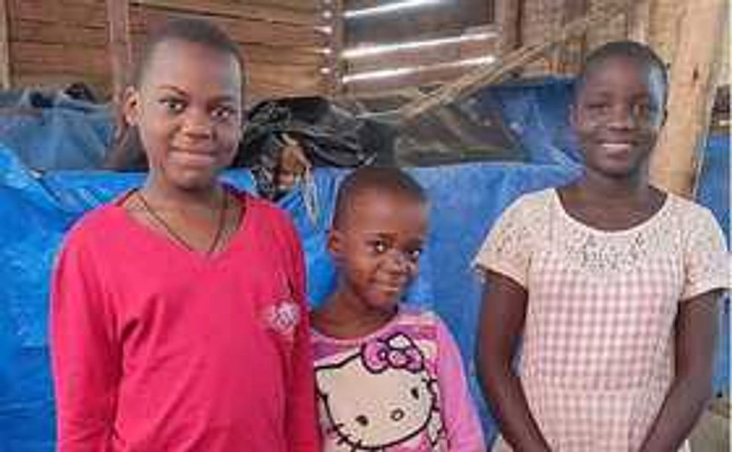 プロジェクト報告