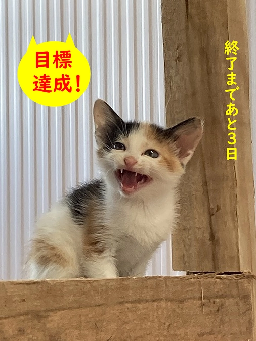 目標達成しました!!!　