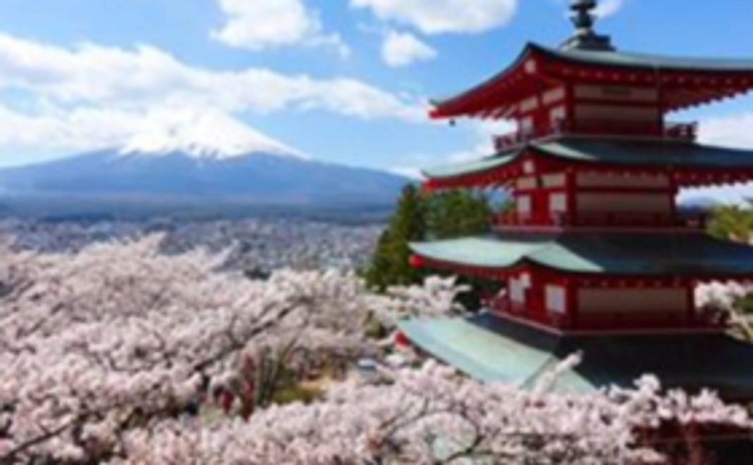 サンキューレター写真(紙媒体)添付