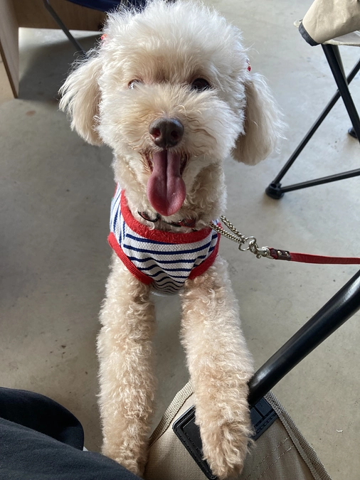 始まりました！