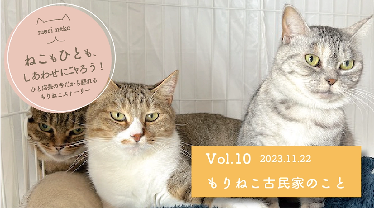 ねこもひとも、しあわせにニャろう！　vol.10
