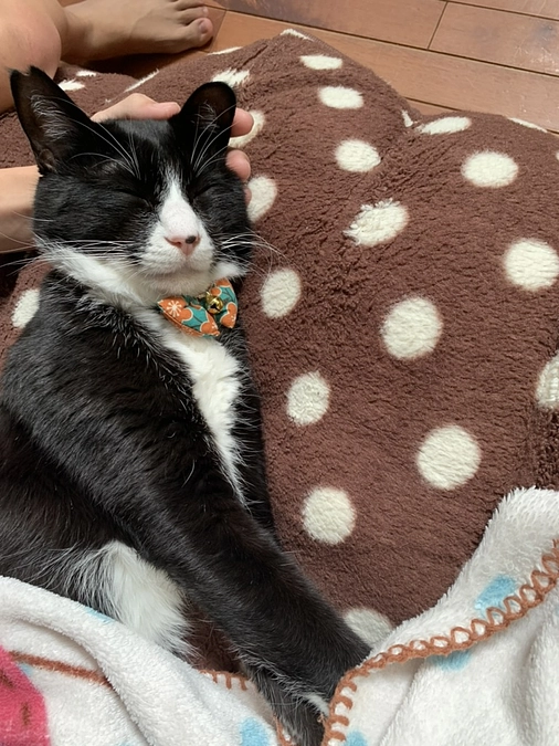 終了まで残り10日になりました！