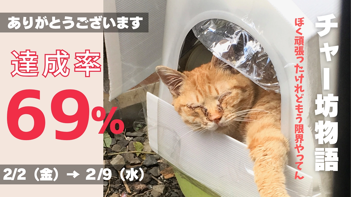 チャー坊物語〜！