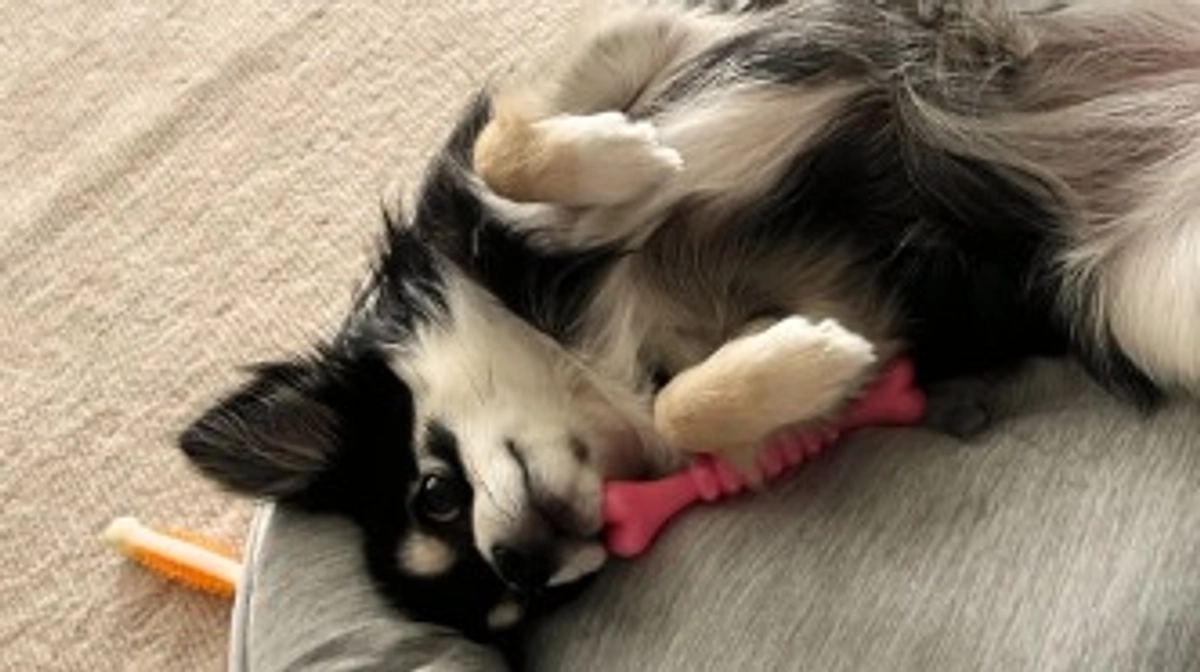 お出迎えの格好😊