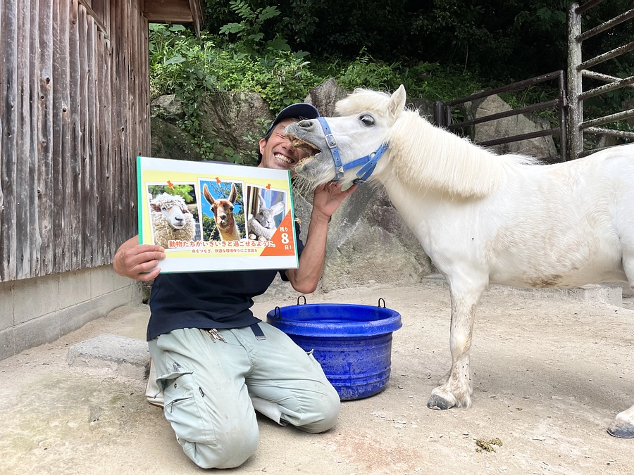 【活動報告52】プロジェクト終了まであと８日！！カウントダウンで繋ぐ熱い思い（大動物担当おがちゃん）