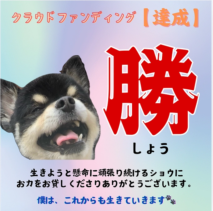 皆様のあたたかいお力添えのおかげで達成することができました。ありがとうございました🙇‍♀️