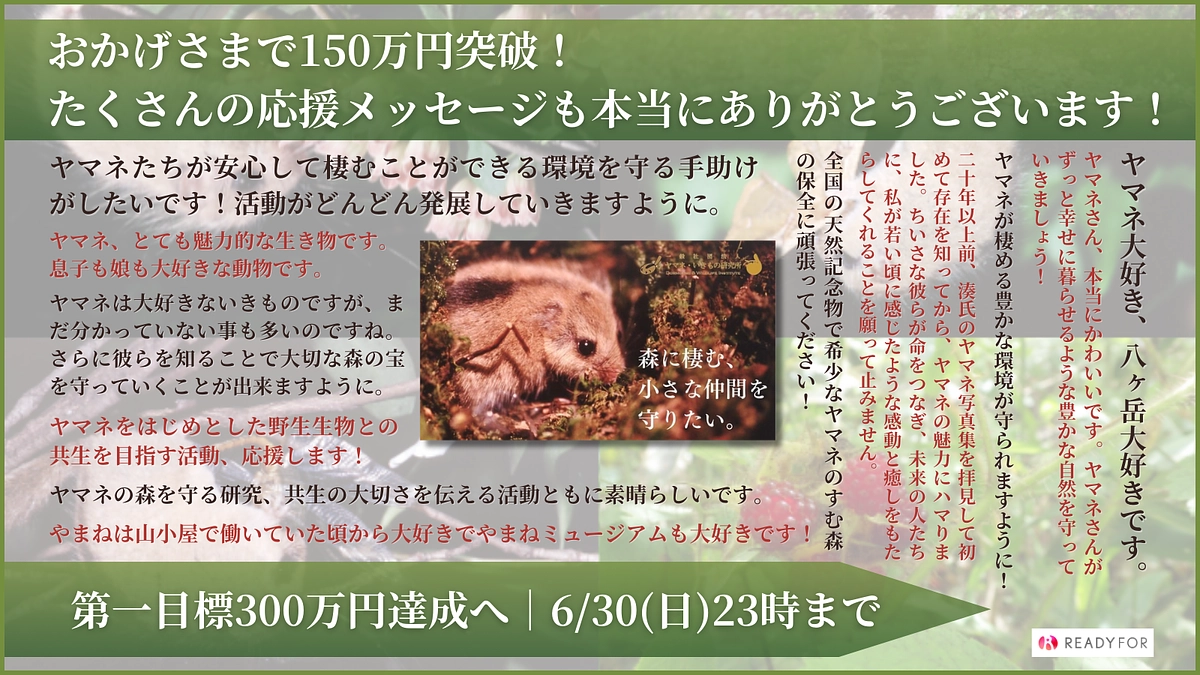 50%達成！応援コメントご紹介♪皆さんの拡散協力が力に！
