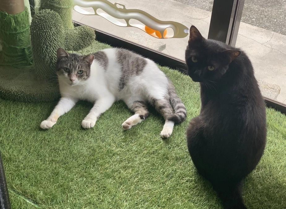 第一目標達成しました！とネクストゴール挑戦します！！