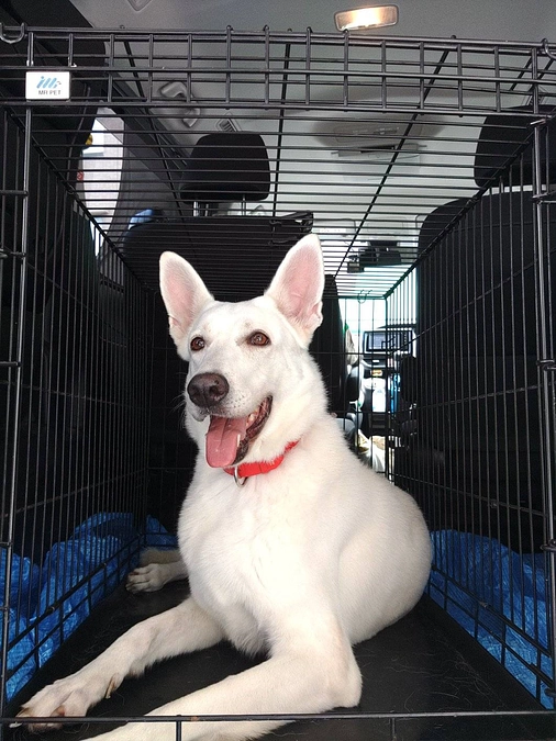 もうすぐ目の前‼️