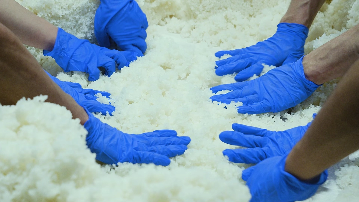 酒蔵体験に高まる期待