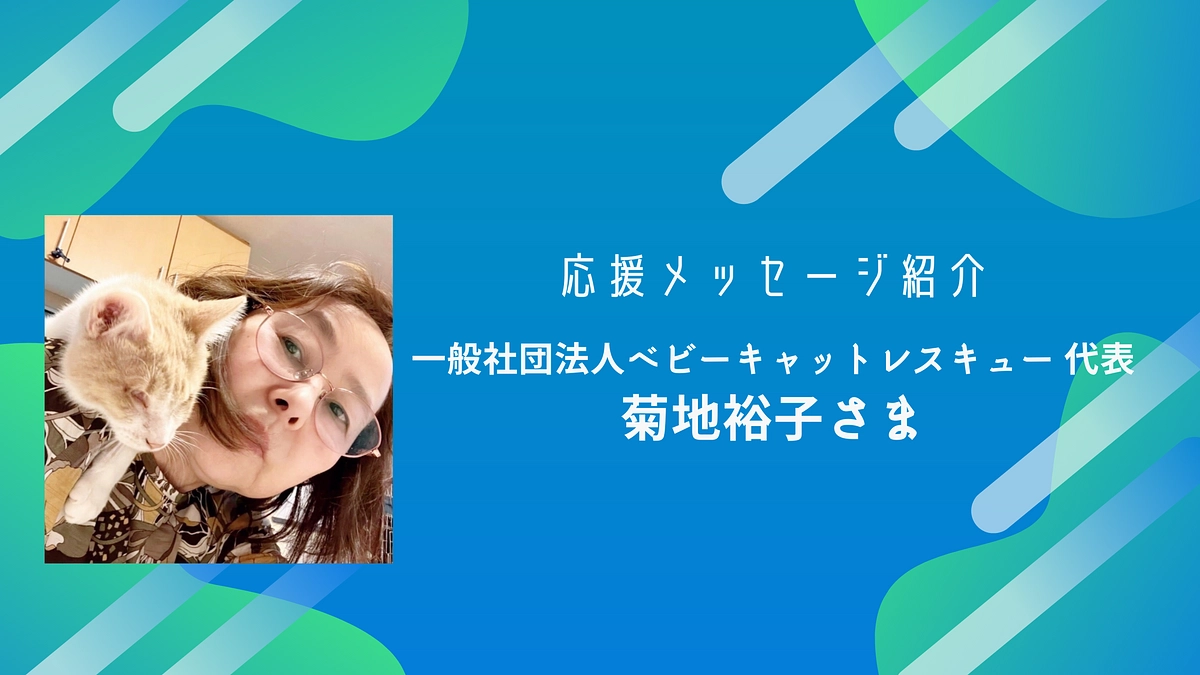 一般社団法人ベビーキャットレスキュー 代表の菊地裕子様から応援メッセージをいただいております！