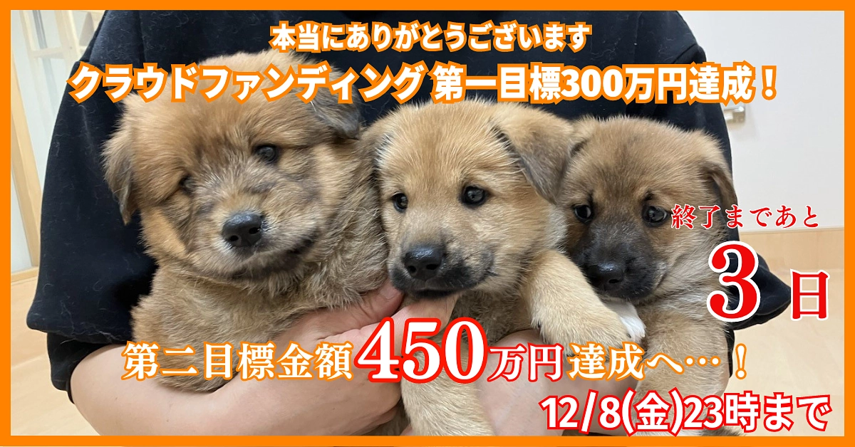 第一目標達成！ネクストゴール450万円に向けて、12/8（金）まで挑戦中です！